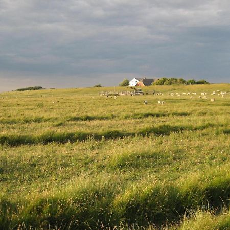 Hof Rickelsbuell - Nordseeurlaub Auf Dem Biobauernhof Rodenäs Buitenkant foto