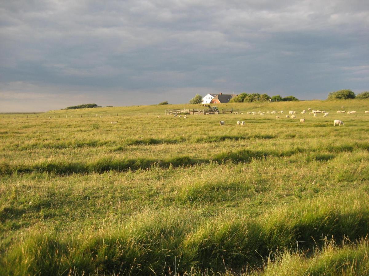 Hof Rickelsbuell - Nordseeurlaub Auf Dem Biobauernhof Rodenäs Buitenkant foto