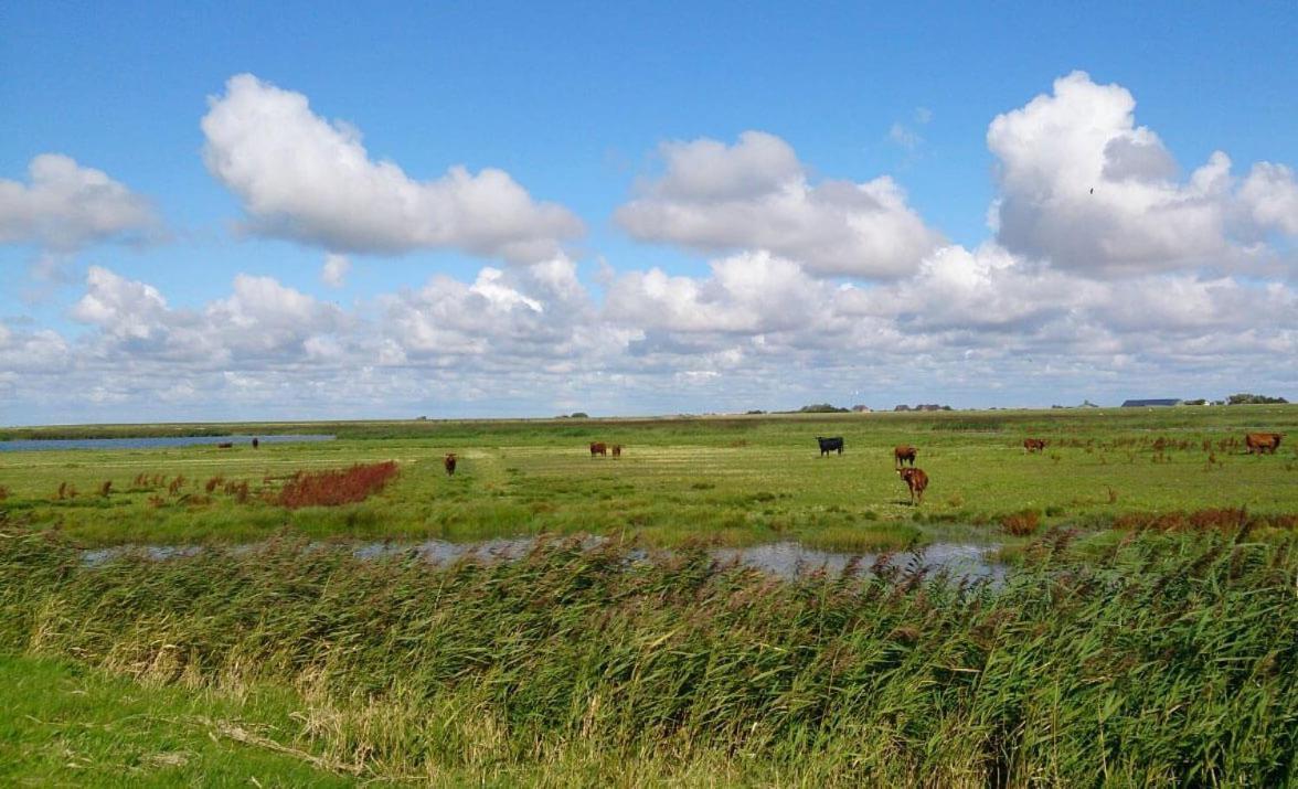 Hof Rickelsbuell - Nordseeurlaub Auf Dem Biobauernhof Rodenäs Buitenkant foto