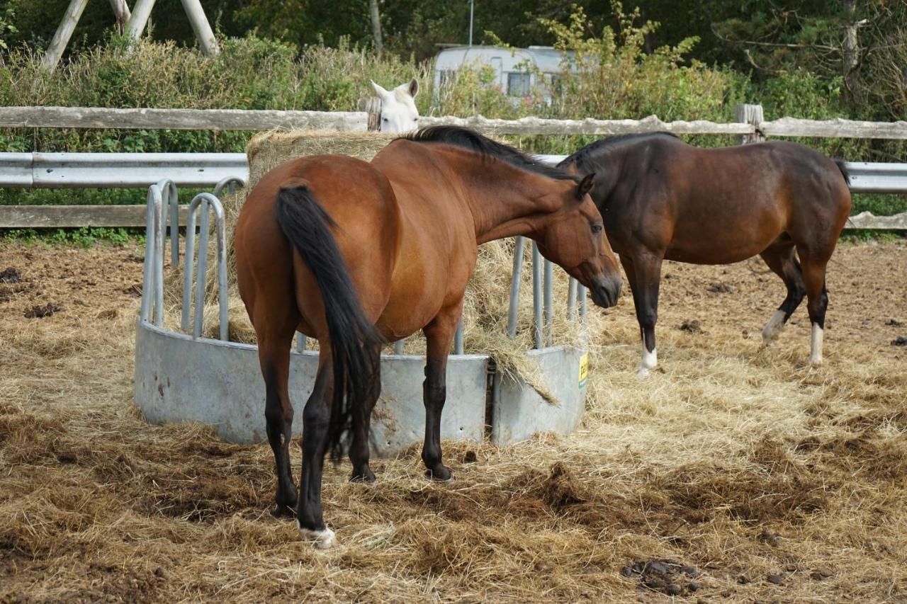 Hof Rickelsbuell - Nordseeurlaub Auf Dem Biobauernhof Rodenäs Buitenkant foto
