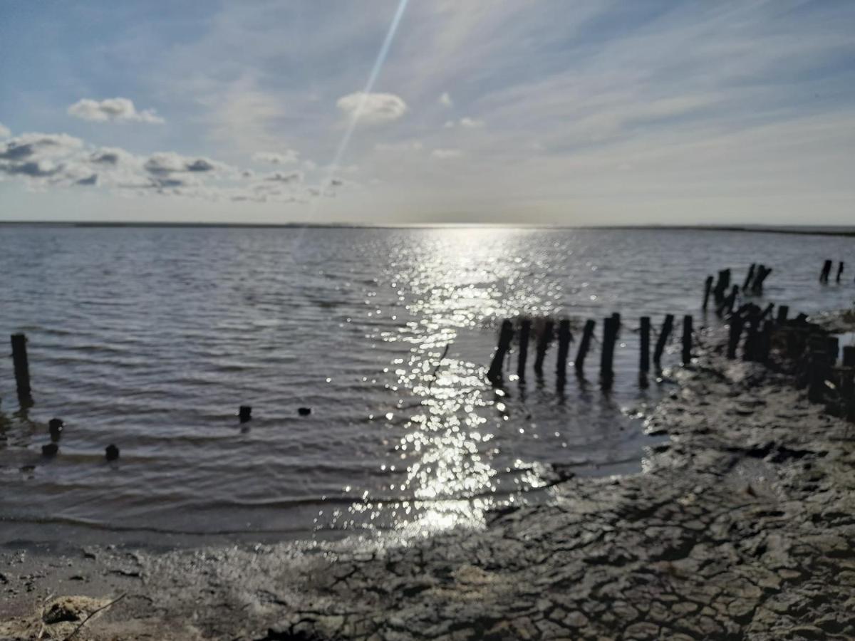 Hof Rickelsbuell - Nordseeurlaub Auf Dem Biobauernhof Rodenäs Buitenkant foto